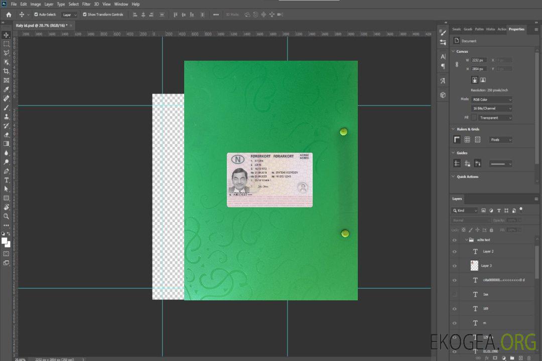 Permis de conduire norvégien 2018-présent photolook recto template